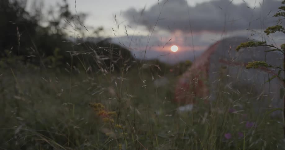 The sun is setting in the distance behind this tent