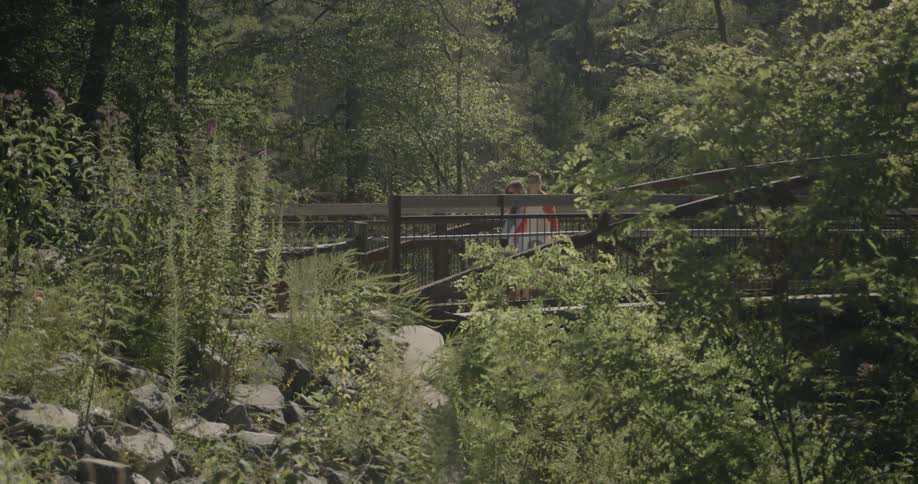 People walk across the small bridge ahead