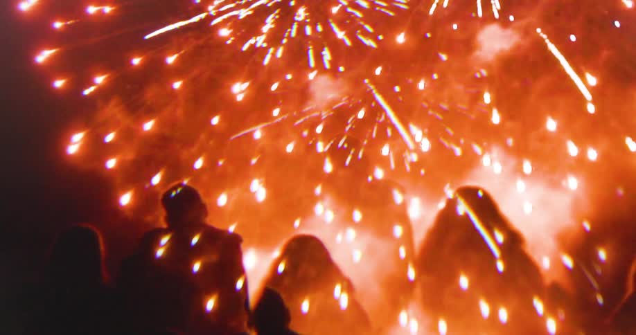 A group of people watch fireworks exploding in the night sky