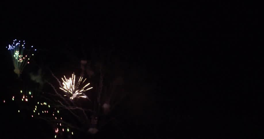 Colorful fireworks are going off in the night sky