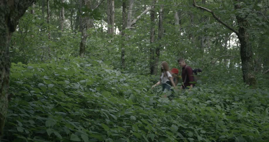 A man and woman hike up up a forest trail
