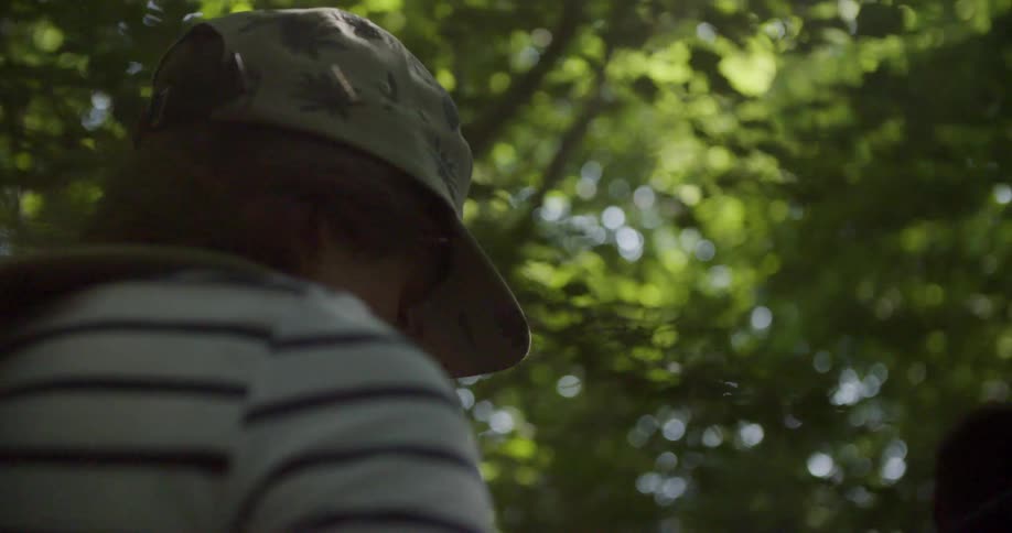 This closeup video shows a person wearing a hat and backpack viewed from behind walking in a forest the sunlight filters through the dense green foliage of the trees creating a dappled effect