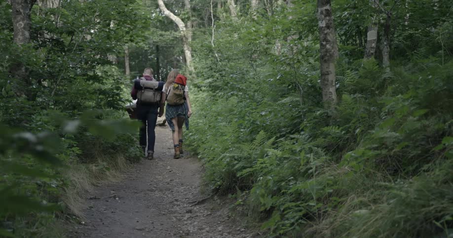 Two hikers travel down a trail
