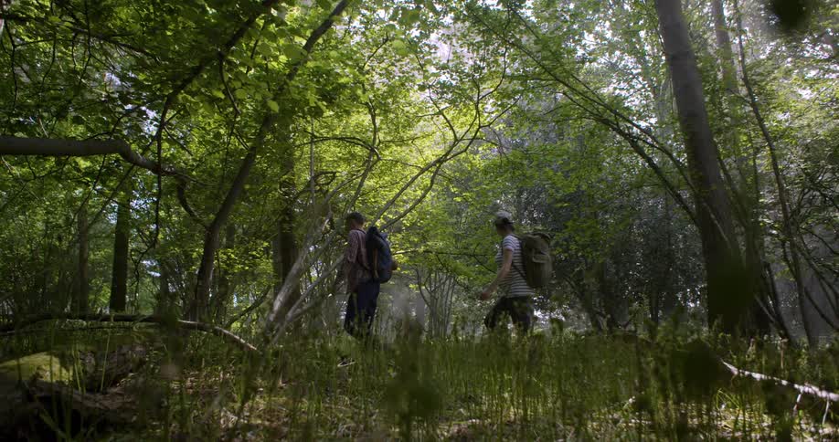 Two people with backpacks are seen hiking through a thick forest the sun shines brightly from behind them casting long shadows on the ground
