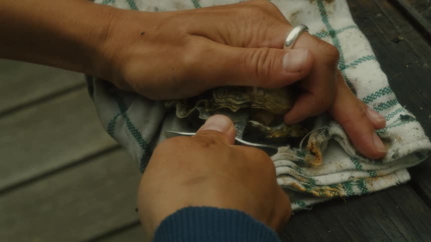 A person is trying to shuck an oyster
