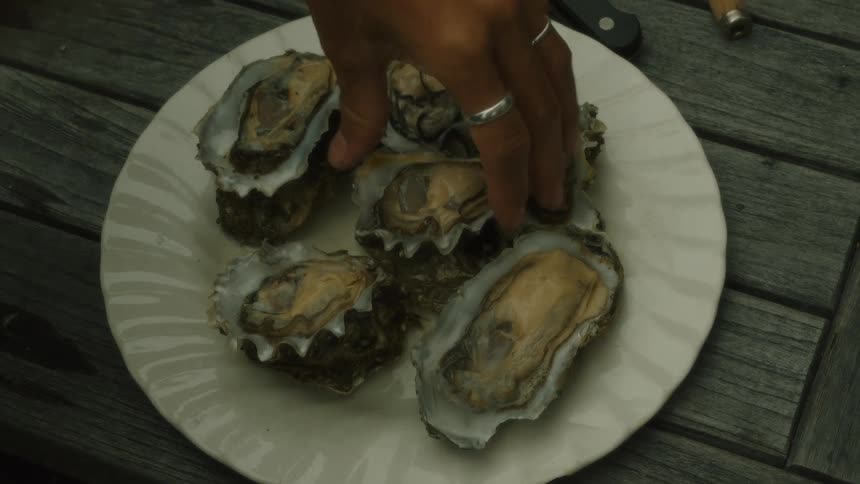 A pair of hands wearing silver rings and a blue sweater is arranging freshly shucked oysters on a white plate on a wooden table