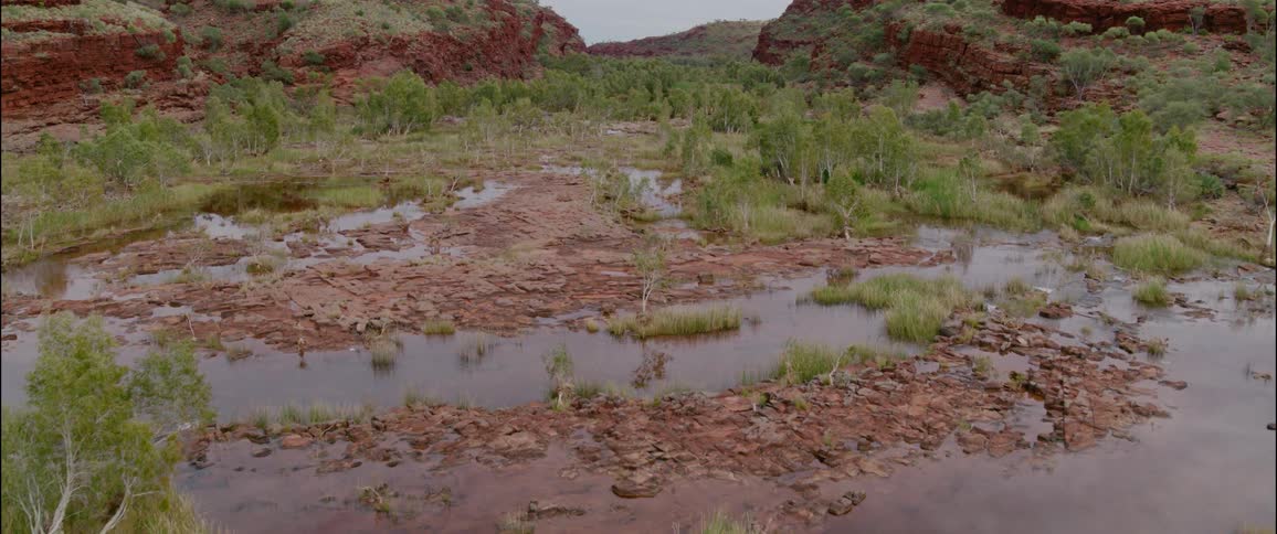 A calm stream winds through tall grasses and trees between rocky red cliffs in a rugged valley