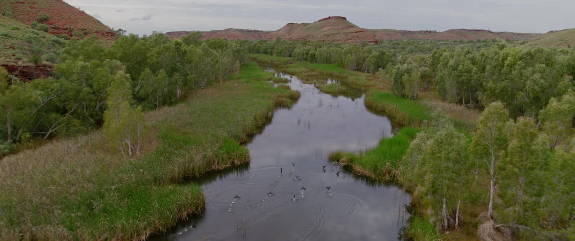 A tranquil river meanders through a lush green landscape with red hills in the distance as a flock of birds flies and rests on the water