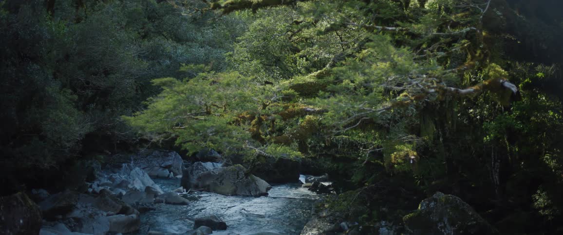 The rough waters of the stream run through the woods
