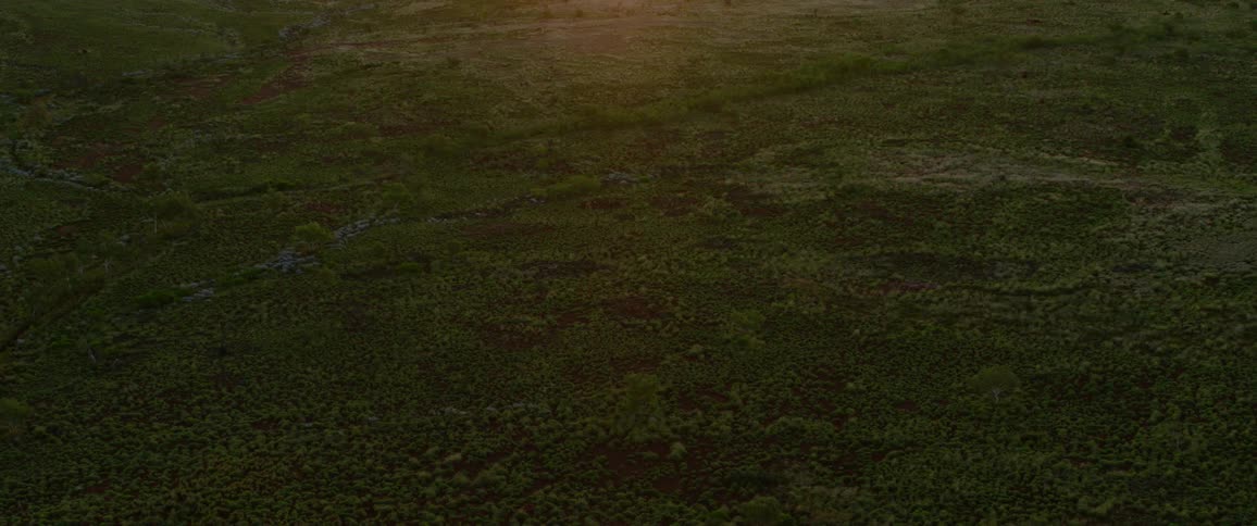 The sun casts a golden glow over a vast green landscape stretching out to the horizon