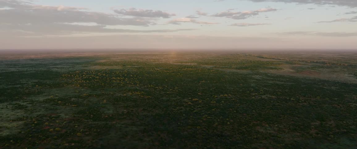 Wildflowers cover the terrain while sunlight tints the horizon red