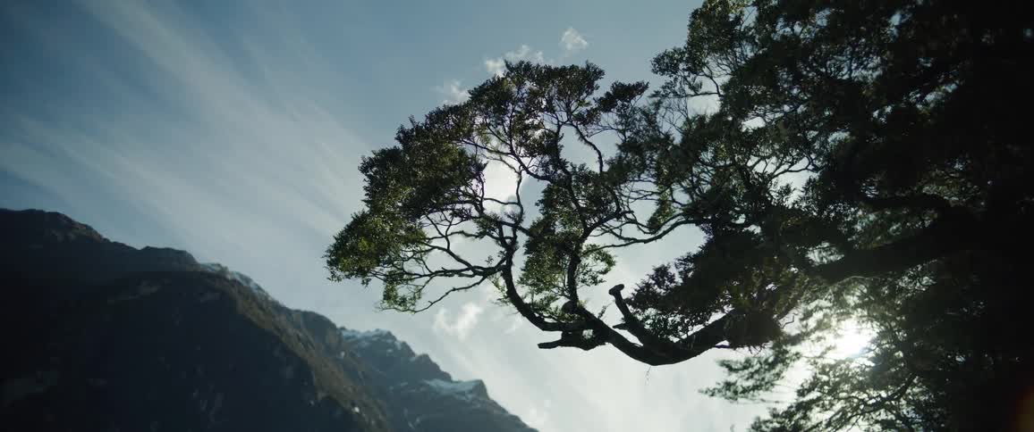 The sun is shining through the fog of the mountain
