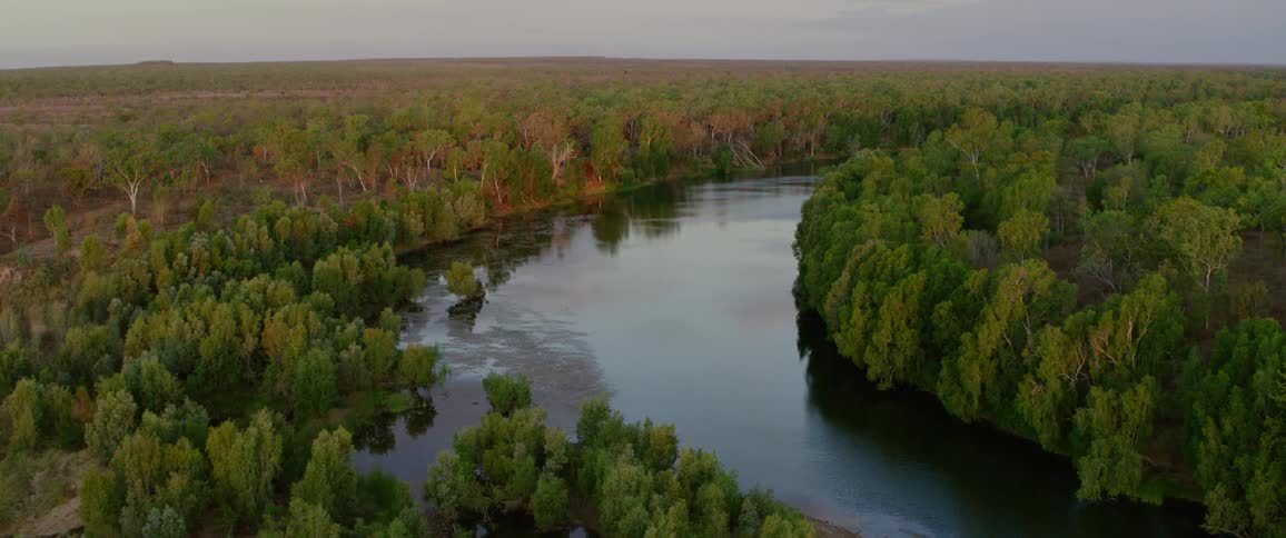 Aerial view of a stream flowing through a vast forest together the river and the forest makes a perfect view