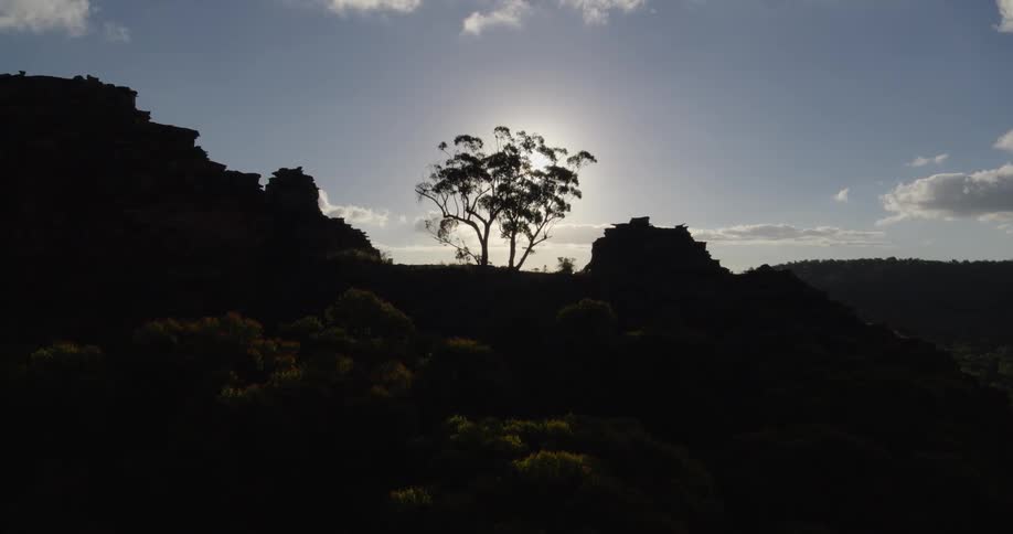 A lone tree is silhouetted against the bright sun on a rugged shadowed ridgeline