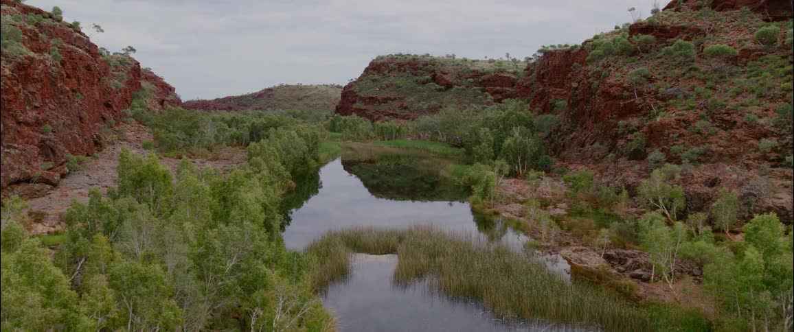 A tranquil waterhole lined with green trees winds through a rugged red rock gorge under an overcast sky