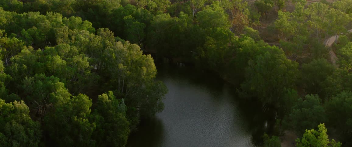 Aerial view of a river surrounded by forest