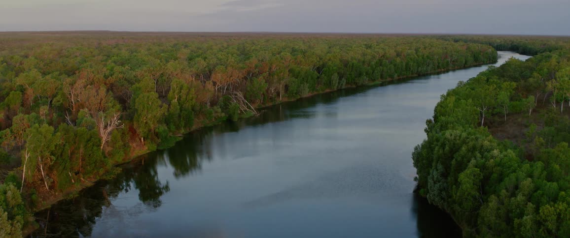 A wide winding river runs through the forest