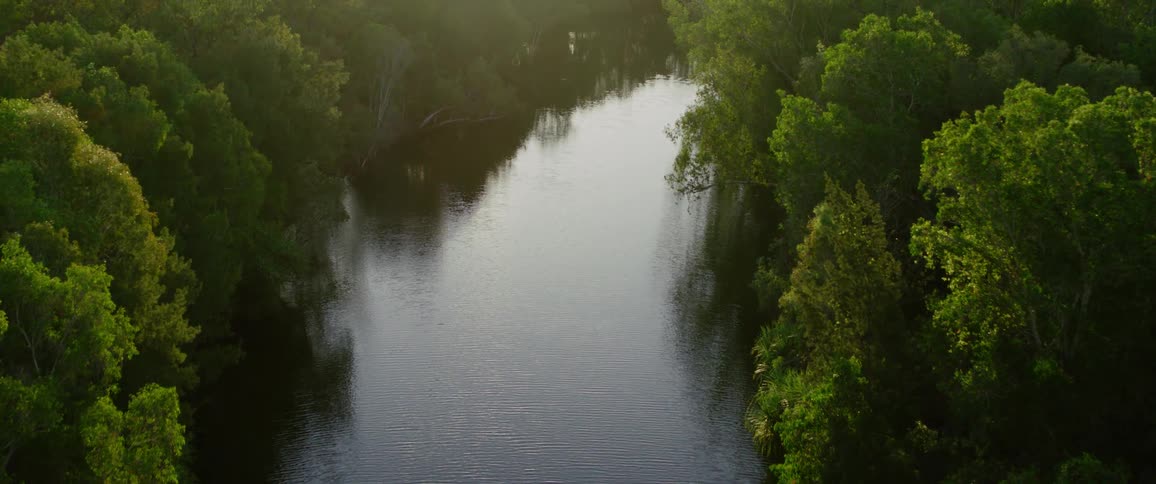 The sun reflects on the river water