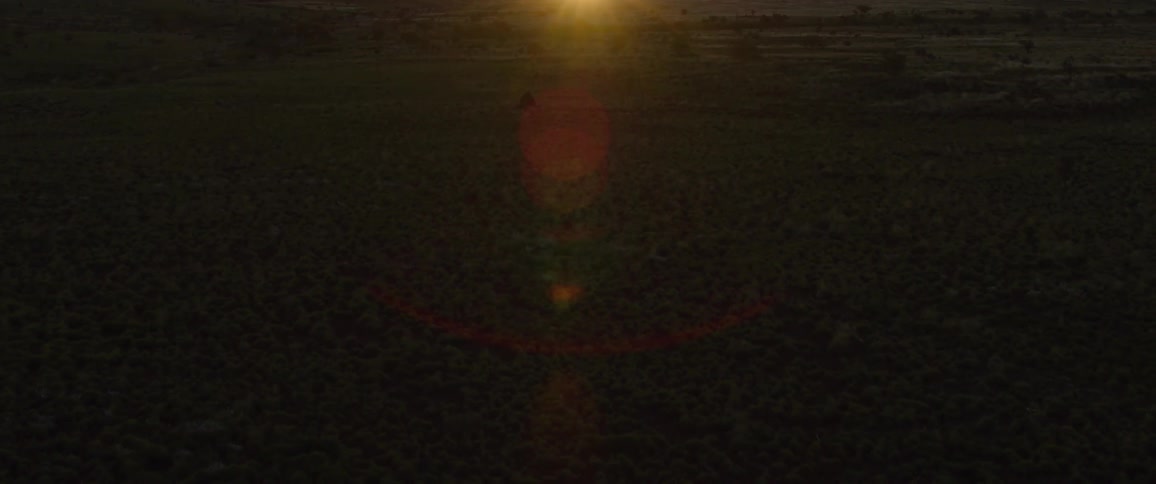 The sun is nearly set on the large dark swamp