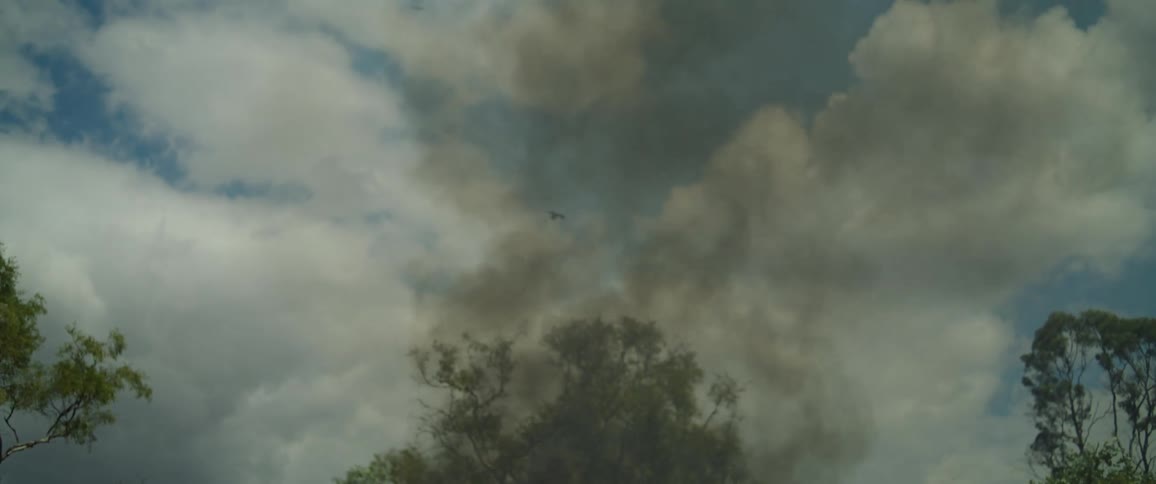 A wildfire blazes through the dry grasses in the jungle spreading rapidly under the midday sun