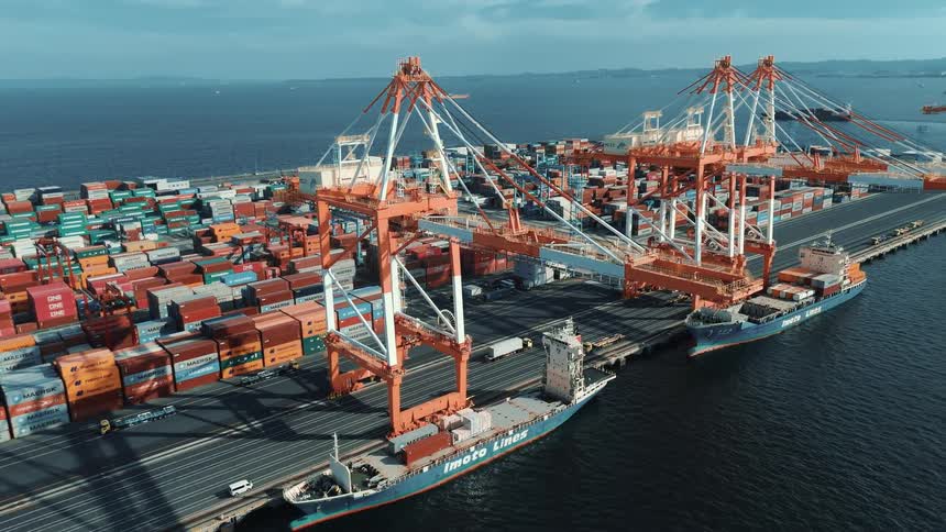 Two large container ships are docked at a bustling port surrounded by towering orange cranes and a vast expanse of stacked shipping containers with the open sea and more distant ships visible under a clear sky