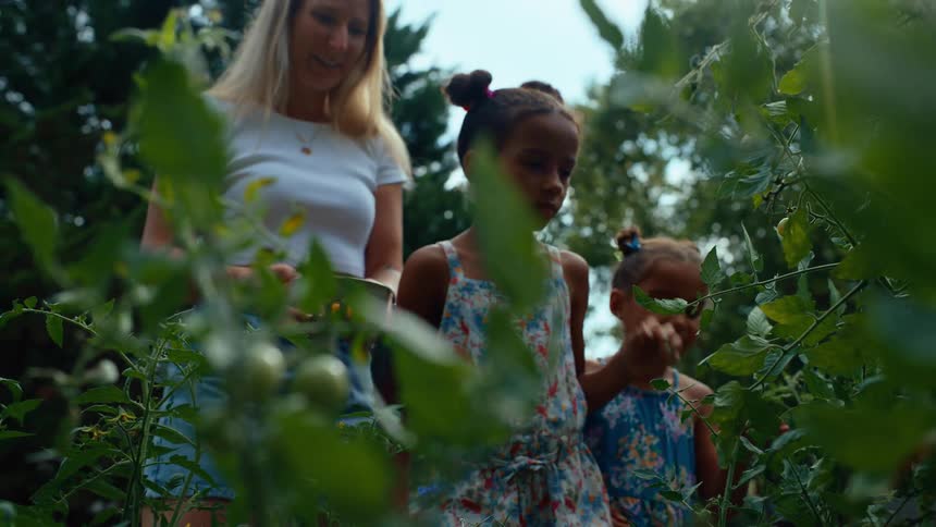 A group of people are in a garden with one woman in a white shirt picking tomatoes and a woman with a child looking at plants