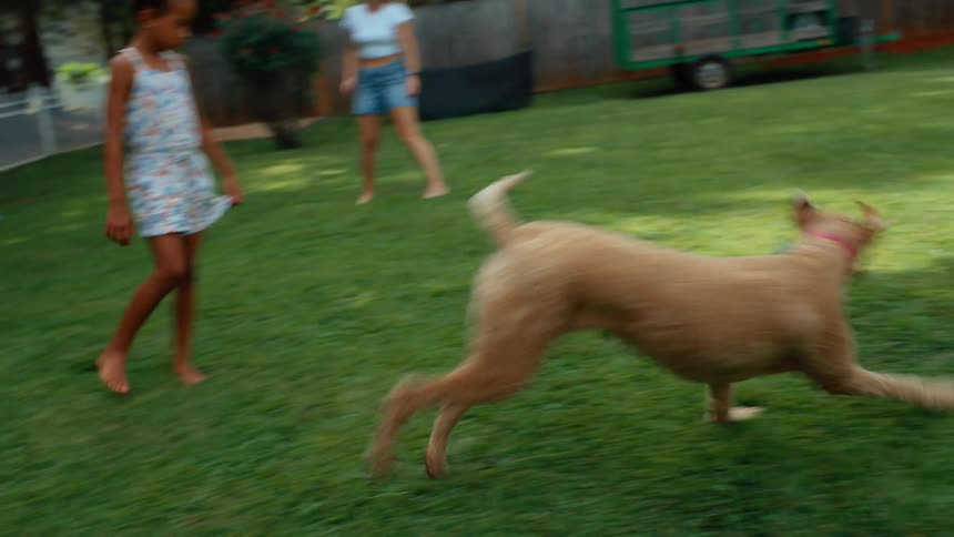 A dog runs across a yard with a toy in its mouth as children chase behind