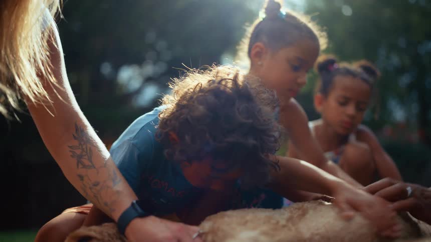 A group of children and a woman petting a dog in an outdoor setting