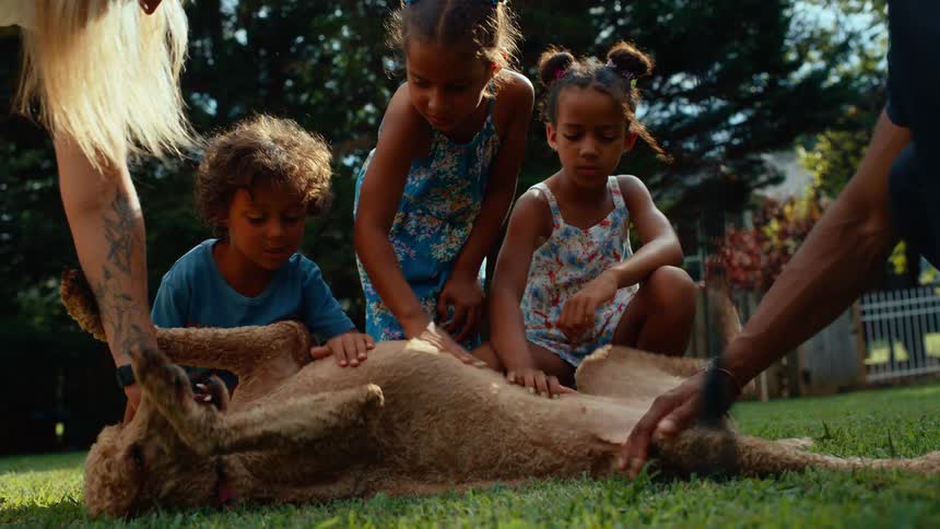 Children alongside a black adult man and a white adult woman playing and petting a dog lying on the floor outdoors during day time