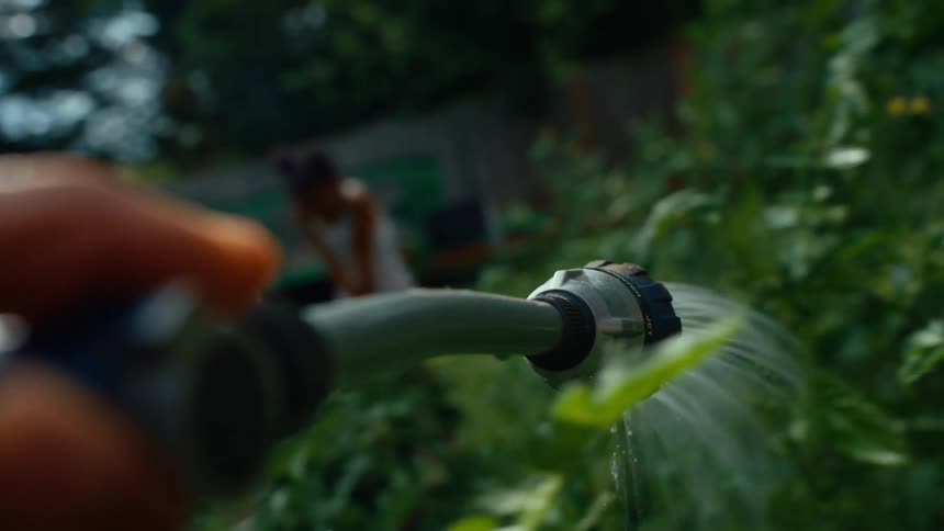 A person holds a hose spraying water onto a garden plant at midday while two kids stand in the distance under the bright sun