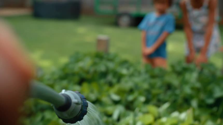 A person holds a nozzle attached to a hose with water spraying onto the leaves of plants and three kids are in the background