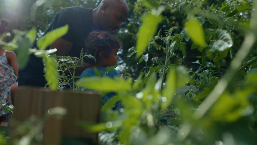 Father teaching son how to water the plants on a lawn while the daughters run around and laugh outdoors during day time