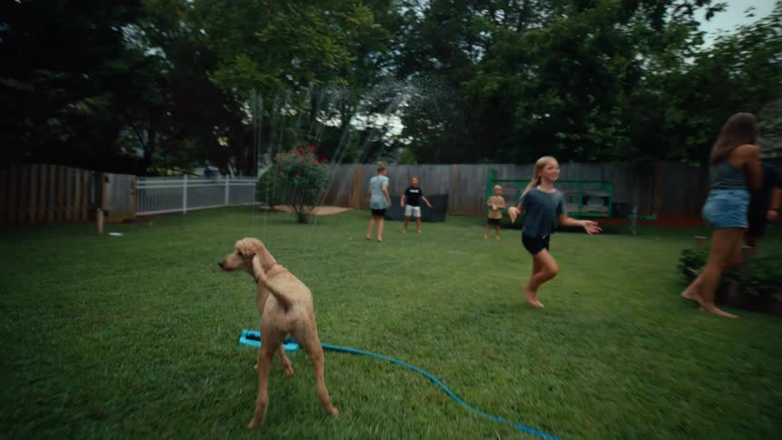 Children run barefoot across the lawn while a dog stands near a sprinkler spraying water in the backyard