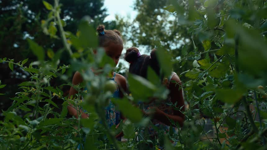 Two children are smelling flower fragrances in a garden