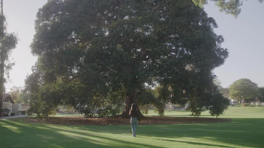 Woman walks toward a large tree in the field