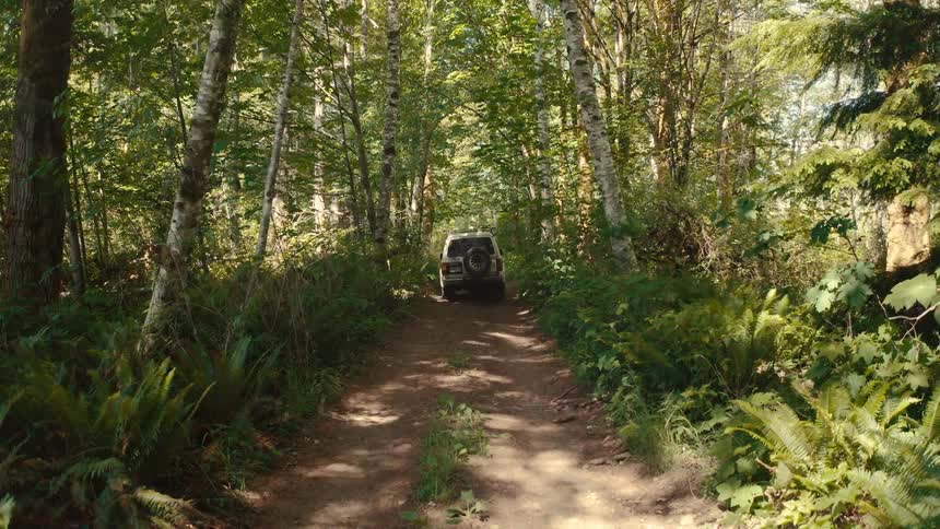 A car is driving away down a dirt road which is surrounded by trees and lush green plants the sun is shining through the trees casting a bright light over the scene