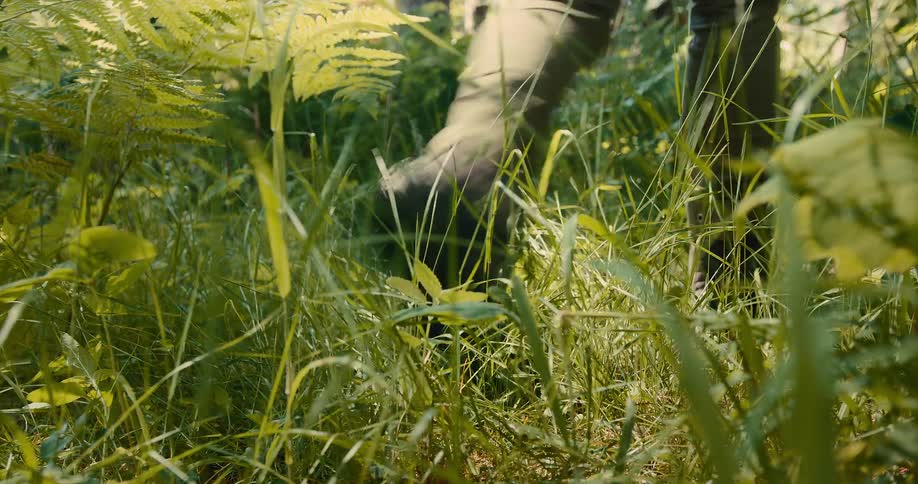 From a very low angle on the ground a persons boot and leg are seen walking through a field of tall green grass and ferns