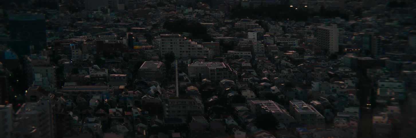 Aerial view of a city at dawn