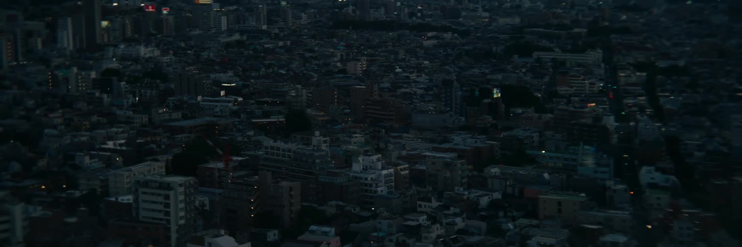 Panorama of an urban city in the dark dawn
