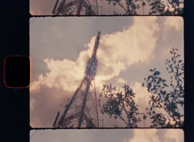 Utility structure towers over a tree on a cloudy day