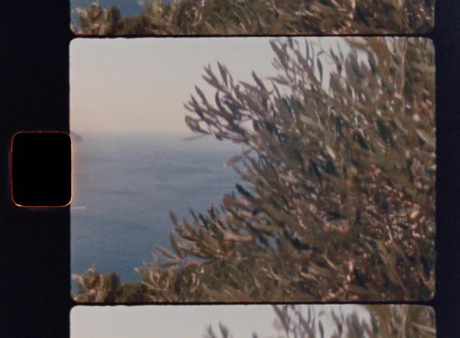 Cinematic Super 8mm coastal reveal shot: camera pans out from behind an olive bush to reveal a scenic coastline with rolling hills and the vast blue sea, capturing a nostalgic vintage travel aesthetic and peaceful Mediterranean landscape