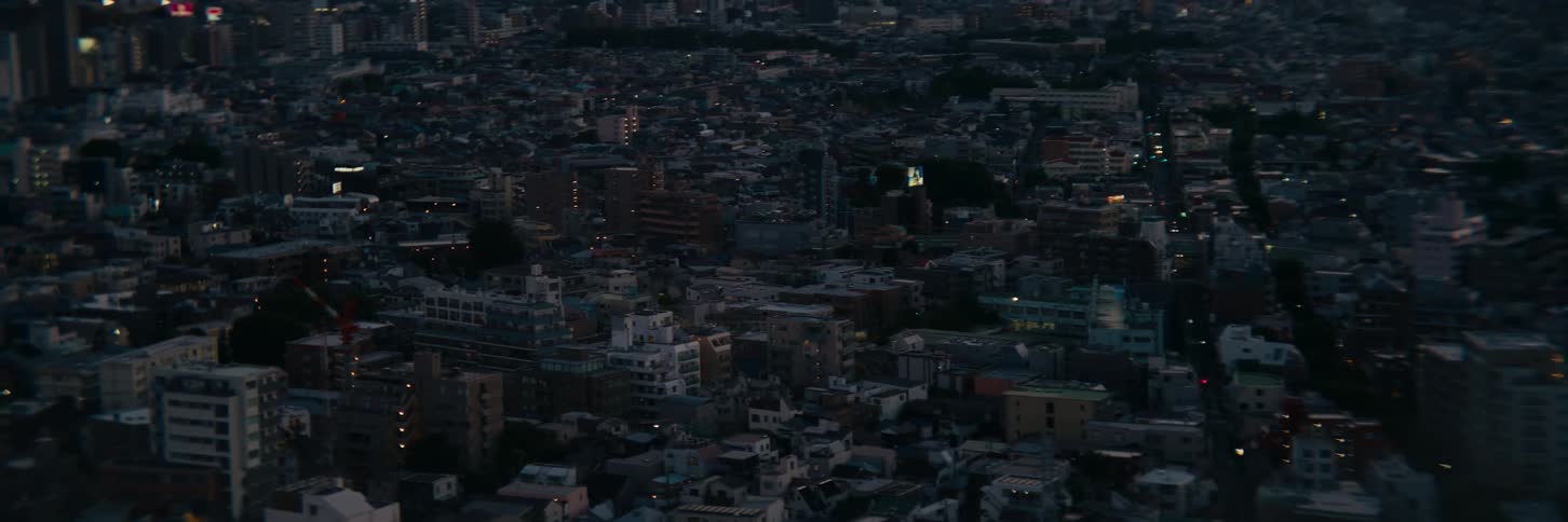 A large city at dusk