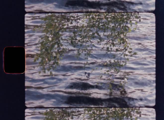 Moving waters of a square with a branch with green leaves in the foreground