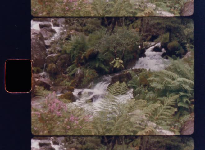 The small stream is in the wilderness
