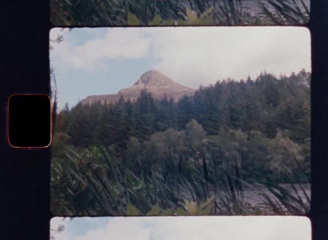 River in a forest area with mountains in the background