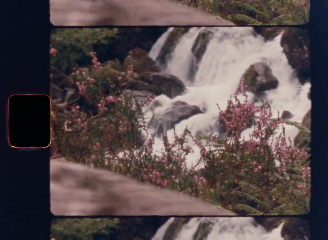 Waterfall between rocks and flowers in the foreground