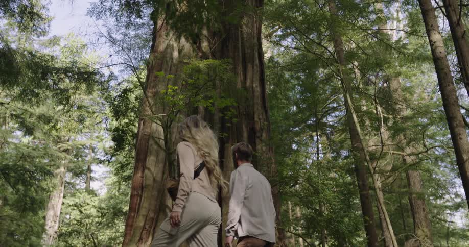 A man and woman hike with their dog in the woods