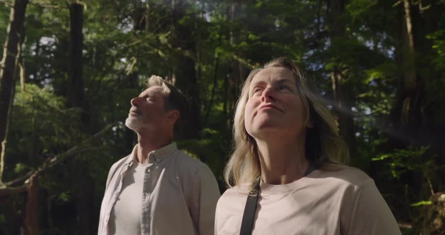 The video shows a man and a woman standing in a dense forest looking upwards with wonder the sun shines brightly through the tall trees creating a warm hazy atmosphere their expressions suggest they are both captivated and in awe of the towering tree