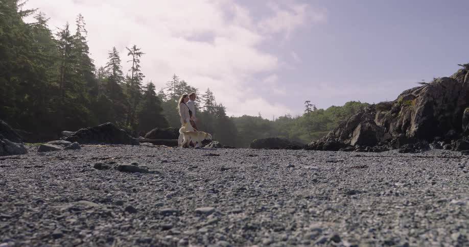A wide angle view shows a man and a woman walking a small dog on a leash across a gray pebbled beach with tall pine trees and rocky cliffs in the background