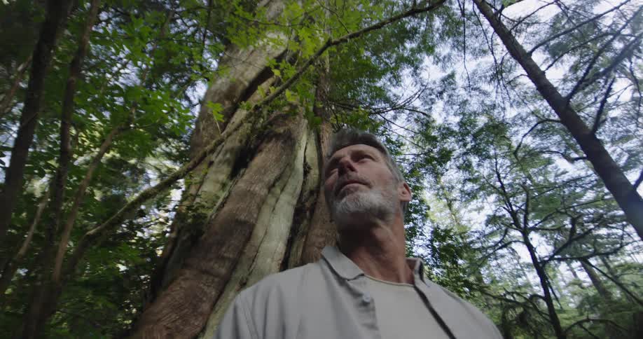 The man looks around the green forest